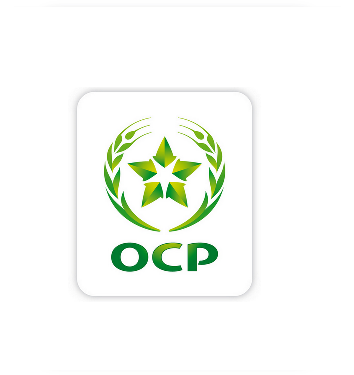 OCP Group_1_1